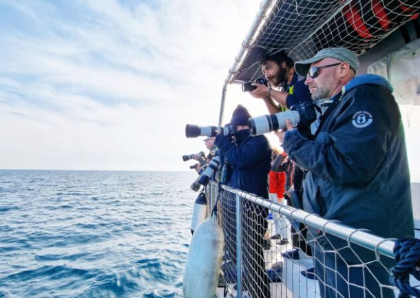 Taranto, 5 giornate di ricerca scientifica sul catamarano di Jonian Dolphin Conservation