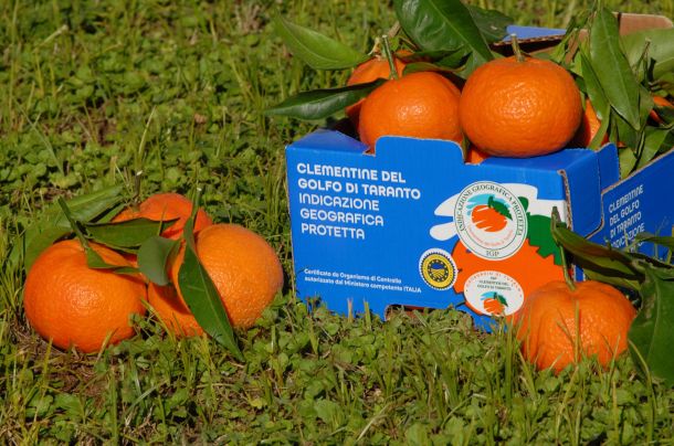 Le Clementine del Golfo di Taranto a Fruit Logistica di Berlino