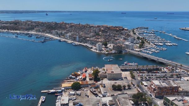 Il mare e i delfini di Taranto protagonisti a Linea Blu